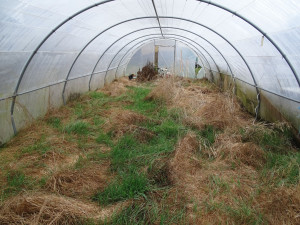 Photo de galerie - Jardinier