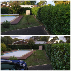 Photo de galerie - Taille de haies et d'arbustes