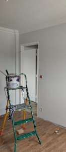 Photo de galerie - Réalisation de peinture sur mur papier revêtement de sol appartement complet à refaire