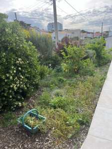 Photo de galerie - Désherbage