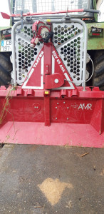 Photo de galerie - Elagage et coupe d'arbres