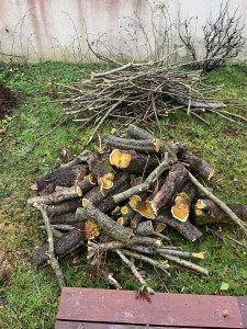 Photo de galerie - Coupe d’un arbre qui était tombé après la neige 