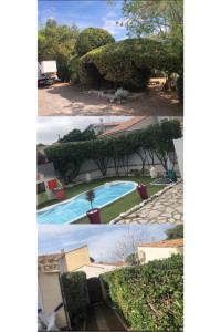 Photo de galerie - Taille d’une haie 