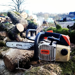 Photo de galerie - élagage et coupe de bois 