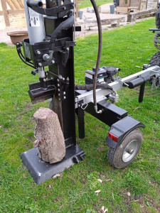 Photo de galerie - Elagage et coupe d'arbres