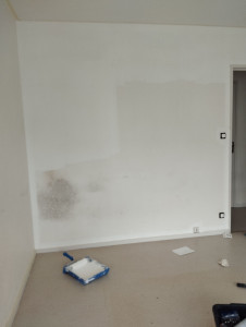 Photo de galerie - Peinture intérieure 