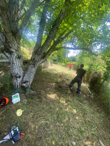 Photo de galerie - Mission débroussaillage : terrain repris, broussailles éliminées 