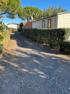 Photo de galerie - Taille de haies et d'arbustes