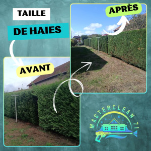 Photo de galerie - Avant-après d'une taille de haie