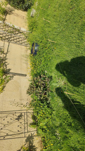 Photo de galerie - Jardinier