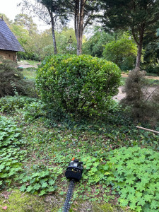 Photo de galerie - Taille