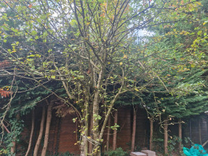 Photo de galerie - Avant 