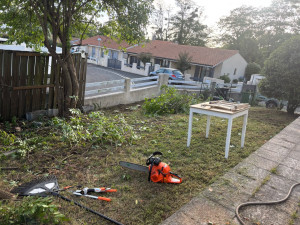 Photo de galerie - Tonte de pelouse - Débroussaillage