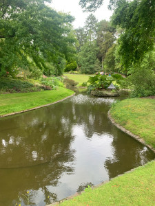 Photo de galerie - Entretien jardin 