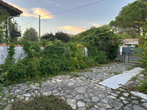 Photo de galerie - Jardinier