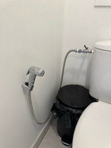 Photo de galerie - Installation de douchette 