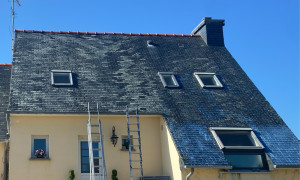 Photo de galerie - Peinture sur toiture