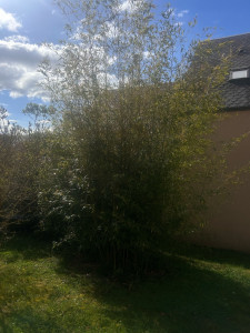 Photo de galerie - Taille 