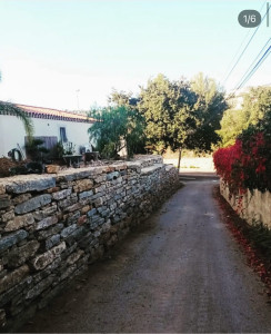 Photo de galerie - Paysagiste - Aménagement du jardin