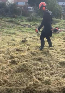 Photo de galerie - Débroussaillage grand terrain Saint-Médard-en jaille