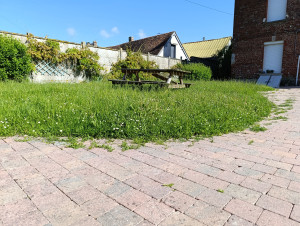 Photo de galerie - Tonte de pelouse - Débroussaillage