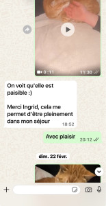 Photo de galerie - échange quotidien pour une garde sur 2 mois et demi 