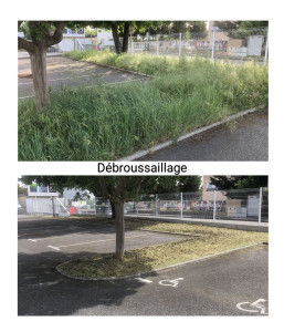 Photo de galerie - Débroussaillage herbes hautes + évacuations déchets verts 