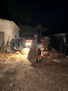 Photo de galerie - Abattage de pin à haut risque, réalisé en totalité en rétention. ?