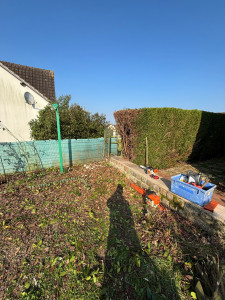 Photo de galerie - Elagage et coupe d'arbres