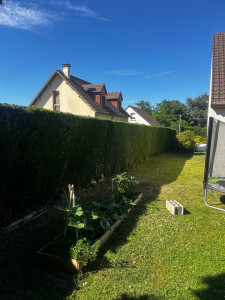Photo de galerie - Taille de haies et d'arbustes