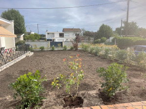 Photo de galerie - Après apport de terre végétale et plantation de variétés brise vue  diverses