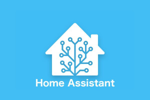 Photo de galerie - Intégration Home Assistant 
