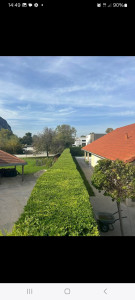 Photo de galerie - Taille de haie