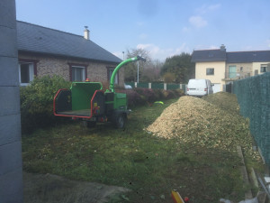 Photo de galerie - Elagage et coupe d'arbres