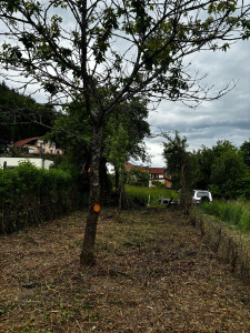 Photo de galerie - Après 