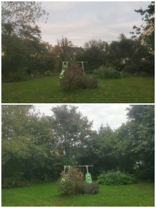 Photo de galerie - élagage remise en état 