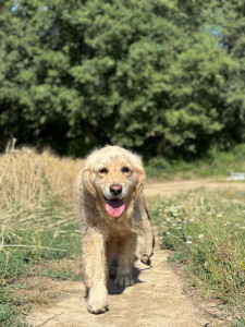 Photo de galerie - Navy ?