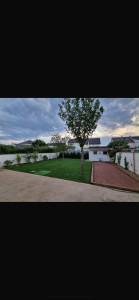 Photo de galerie - Aménagement complet, gazon en rouleau, pose de bordure, plantations, terrain de pétanque, nous proposons une large gamme d'activités