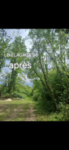 Photo de galerie - Elagage et coupe d'arbres