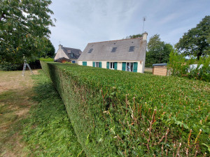 Photo de galerie - Taille en cours