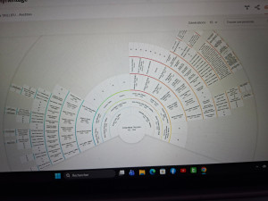 Photo de galerie - Des dizaines d'heures de travail pour retrouver plus de 10 générations d'ancêtres !