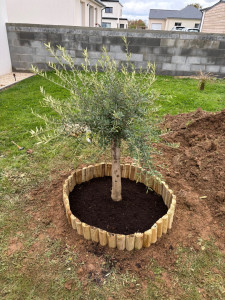 Photo de galerie - Paysagiste - Aménagement du jardin
