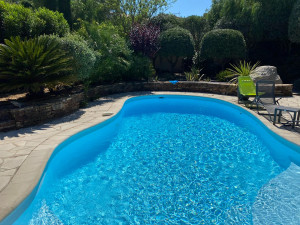 Photo de galerie - Entretien massif et piscine 