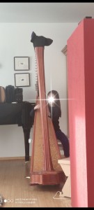 Photo de galerie - Cours de harpe pour une petite fille de 9ans