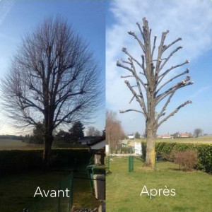 Photo de galerie - Voilà quelque exemple de nos travail 