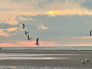 Photo de galerie - Une photo prise lors d’une escapade à la plage 