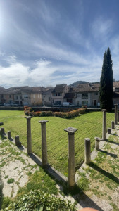 Photo de galerie - Petit chantier de tonte 