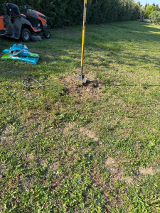 Photo de galerie - Plantation 