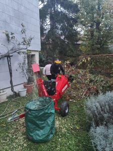 Photo de galerie - Taille d'un cerisier et broyage des branches 