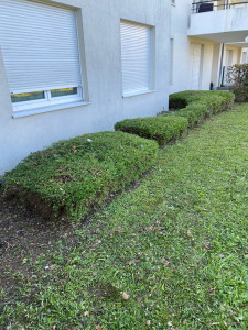 Photo de galerie - Toute les entretien espace vert